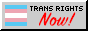 button that reads 'trans rights now!' with a trans flag to the left